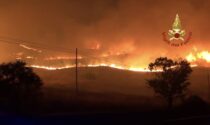 Gli incendi in Sicilia: Coldiretti Bergamo raccoglie fondi per aiutare le imprese agricole