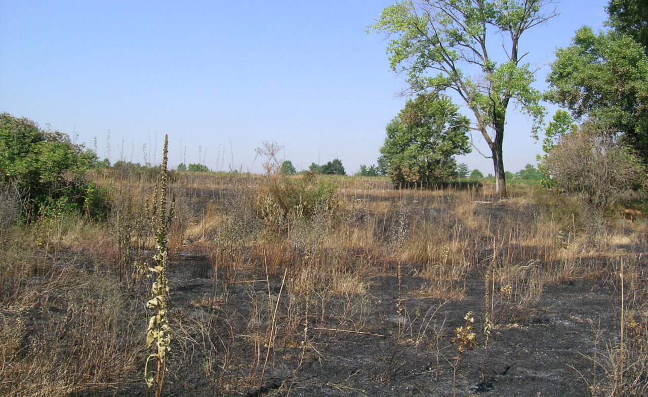 Pericolo d’incendi: la guida sui comportamenti corretti da adottare nel Parco del Serio