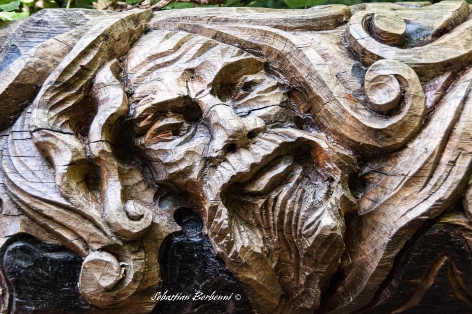 bosco scultura