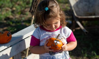 A Tulipania è già Halloween e si raccolgono le zucche