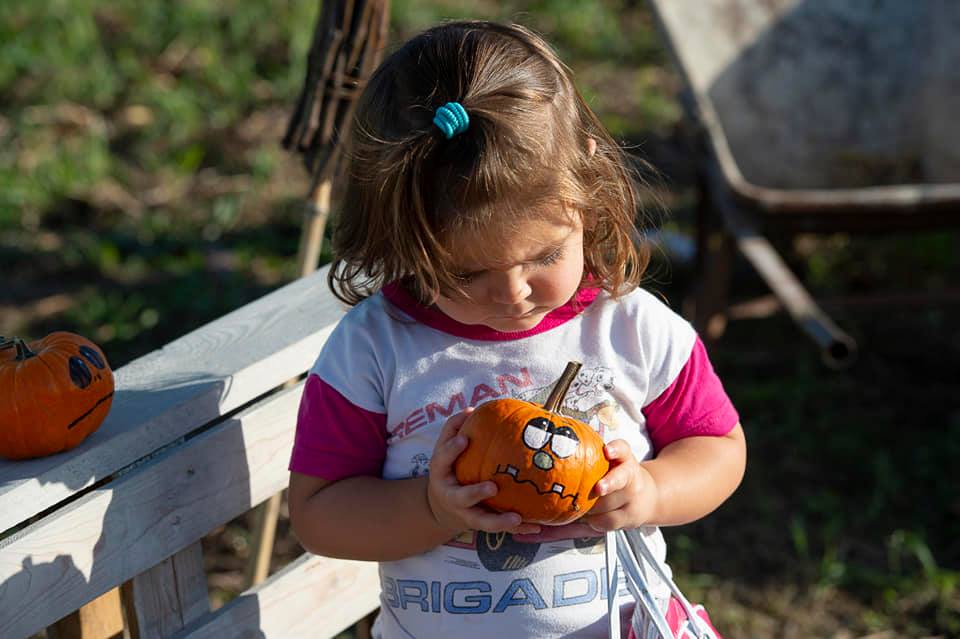 A Tulipania è già Halloween e si raccolgono le zucche