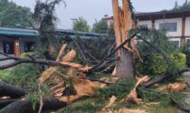 Fulmine si abbatte nel parco di Orio al Serio, esplode un pino: «Miracolosamente nessun ferito»