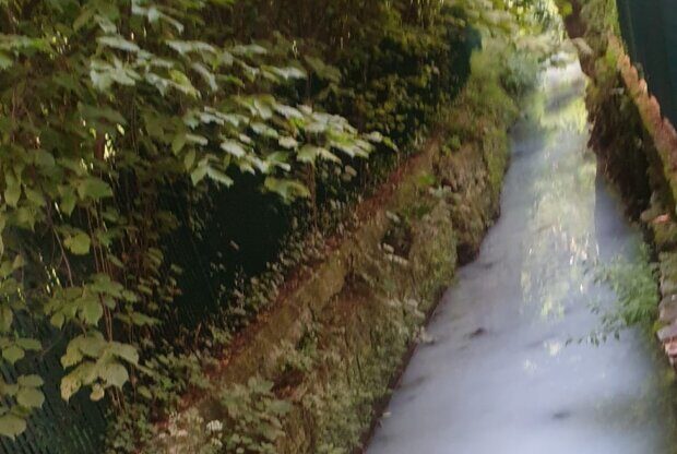 Il mistero (finora irrisolto) della roggia diventata bianca al Parco Suardi