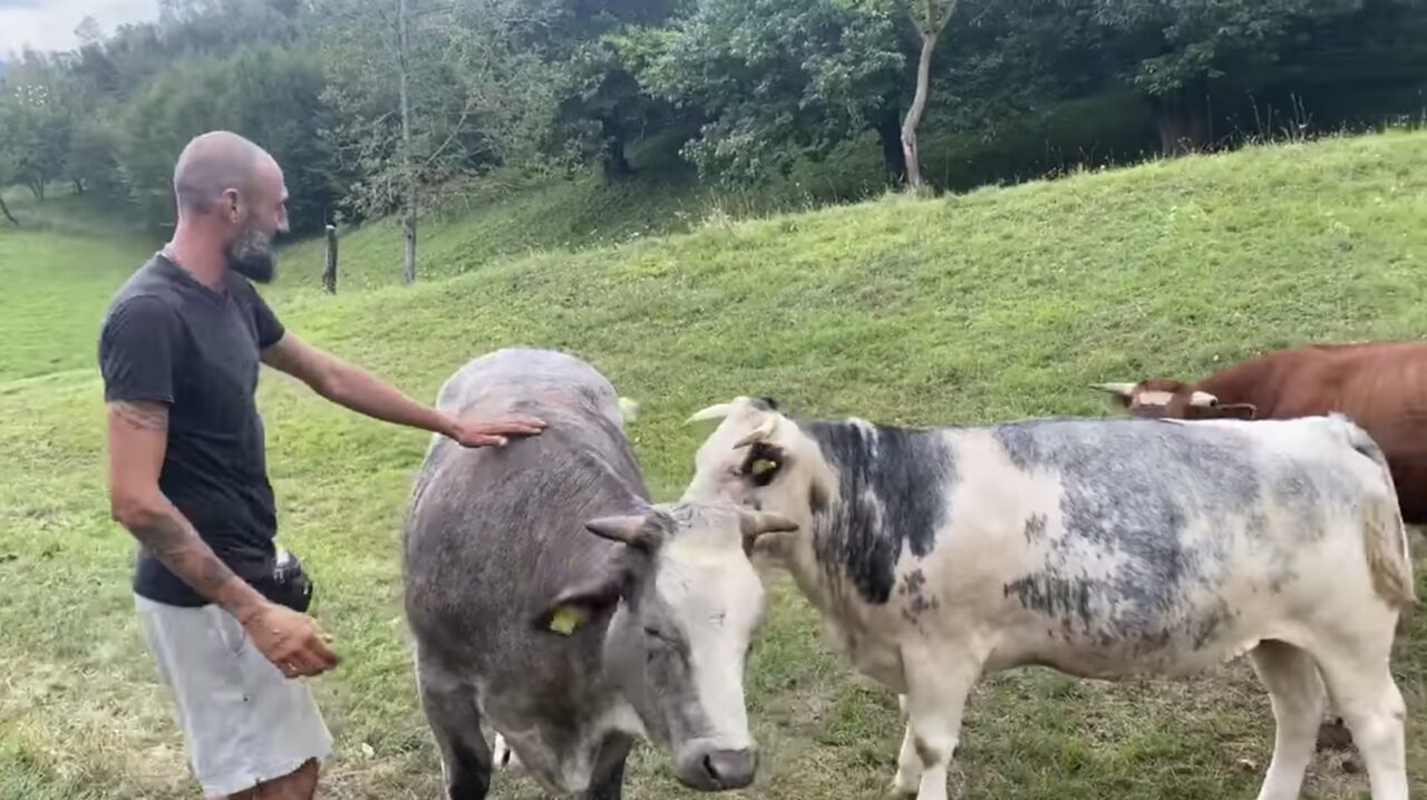 Giovanni Merla, il giovane che salva gli animali dal macello (e ora cerca una nuova fattoria)