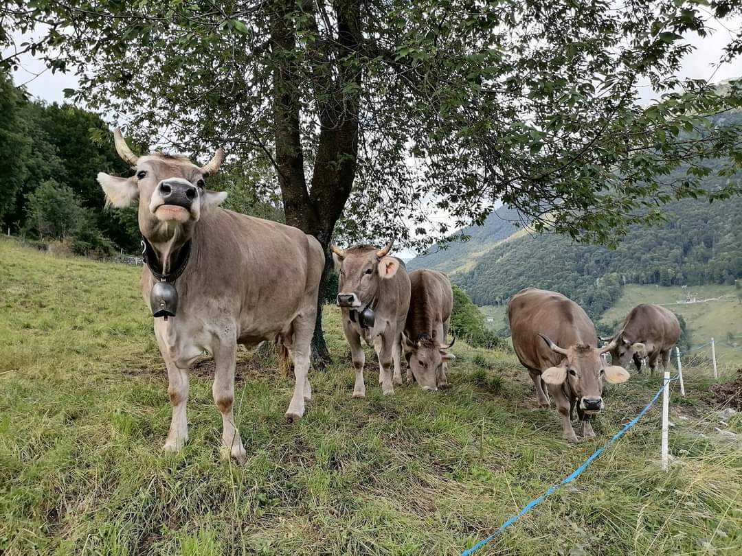 Melaverde racconta Serina: la nuova stagione del programma parte dalla Bergamasca