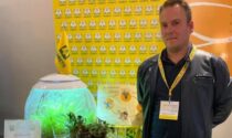Mario Bertocco con le sue "piante spazzine" vince l’Oscar Green Lombardia