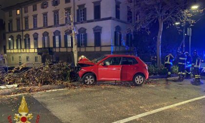 Si schianta contro un albero su viale Vittorio Emanuele: automobilista illeso
