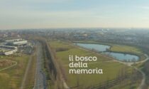 Raccolta fondi per il Bosco della Memoria: raccolti 23 mila euro