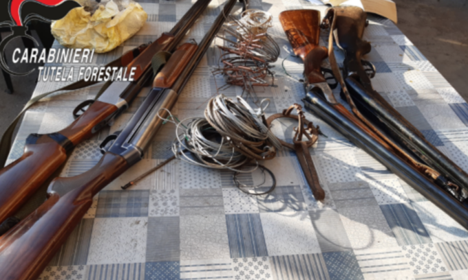 Trappole illegali, armi, munizioni abusive e uccelli congelati nel freezer: bracconiere denunciato