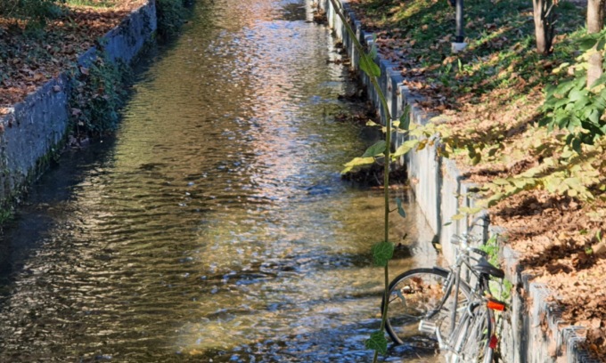 Tragedia a Treviglio: cade nella roggia con la bici e muore. Addio a Gianpaolo Calvi, 46 anni