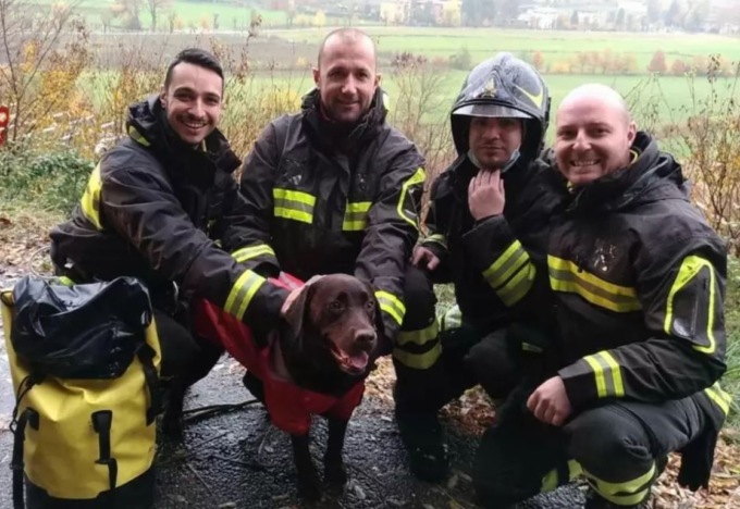 Cane in una scarpata ad Astino: salvato dai vigili del fuoco