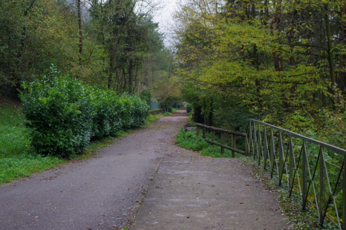 Il week-end nelle nostre valli: gli appuntamenti di sabato 6 e domenica 7 novembre 2021