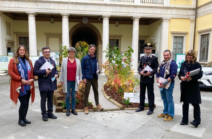 Al via la quarta edizione del Festival delle Foreste: cinema ed eventi per i “polmoni della terra”