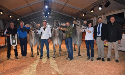 Lo Strachitunt fa da traino al turismo in Val Taleggio