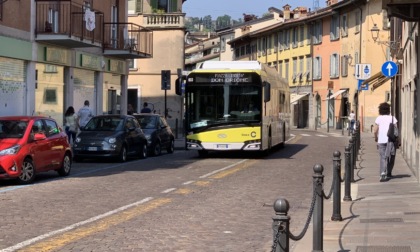 In via Borgo Santa Caterina restano i parcheggi. Pista ciclabile al posto della corsia dei bus