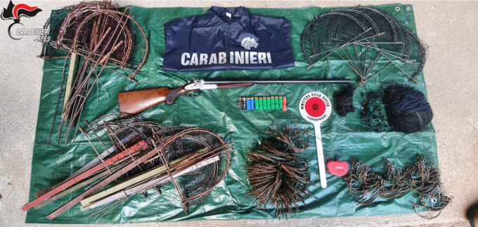 Operazione “Pettirosso”: oltre 130 denunce, un arresto e più di 3mila uccelli sequestrati