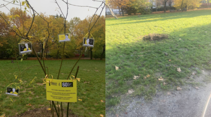Vandalizzato a Bergamo l’albero piantato per i 60 anni di Amnesty International