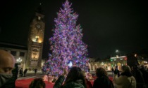Per il secondo anno, la Val Seriana dona a Bergamo l'albero di Natale che illuminerà il centro