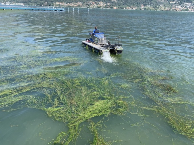 Alghe dannose: la Regione stanzia 350mila euro per la rimozione dai laghi d’Iseo, Endine e Moro