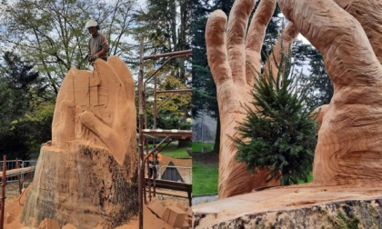 L'abbraccio al vecchio cedro di Gandino: ecco la nuova scultura nel parco comunale