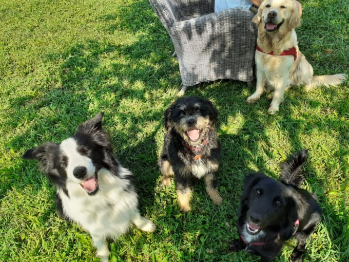 Ecco la “Bau House”, l’ideale per i turisti che visitano Bergamo in compagnia dei loro cani