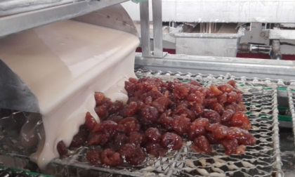 Italcanditi sposta la produzione dei marron glacé a Pedrengo e il Mugello si ribella