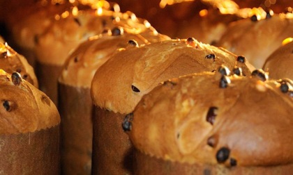 Panettone, quanto mi costi? Indagine sui prezzi a Bergamo: si va da 2 a 50 euro