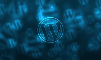 Performance e assistenza: i criteri fondamentali per scegliere l’hosting WP