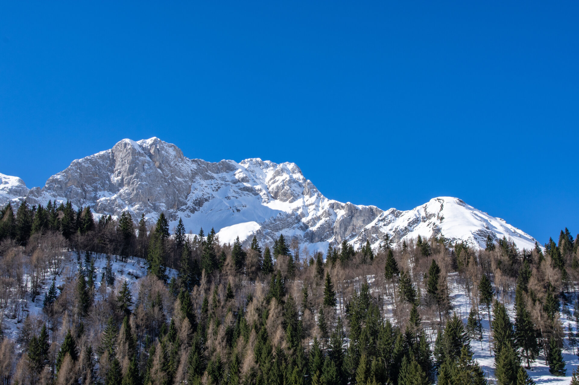 3 - Gita al rifugio Alpe Corte, lago Branchino e passo dei laghi gemelli online