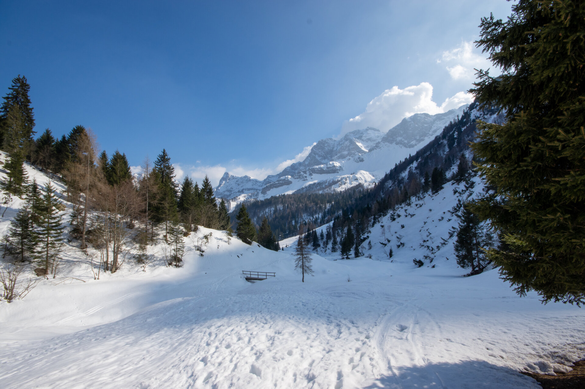 4 - Gita al rifugio Alpe Corte, lago Branchino e passo dei laghi gemelli online