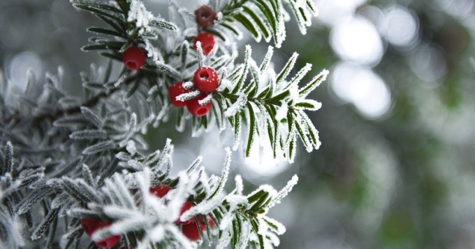 10 frasi in bergamasco sull’inverno