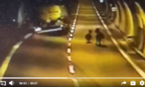 Il video dell'autobotte che evita per miracolo lo schianto con due asini... in galleria