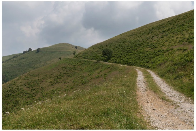 «Perché dico sì alla “strada dei bergamini” che unisce Valsassina e Valle Imagna»
