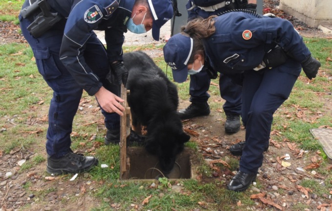 Persona in possesso di hashish sorpresa dal cane Tenai sul pullman a Seriate
