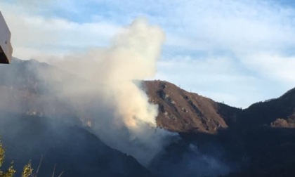 Le fiamme divorano 2,5 ettari di bosco a Poscante, si indaga sull'origine dolosa