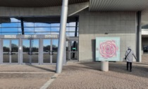 "Il labirinto della Rosa": in Fiera un'opera d'arte contro la violenza sulle donne