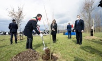Il Bosco della Memoria è pronto a diventare un luogo dei cittadini, con i suoi 800 alberi e arbusti