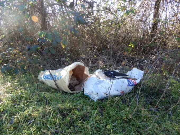 Inquietante ritrovamento a Morengo: sacchetti con carcasse di animali morti lungo il Serio