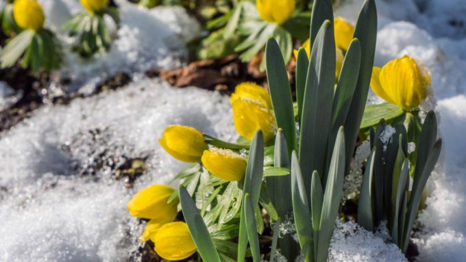 10 frasi in bergamasco sul tempo a febbraio