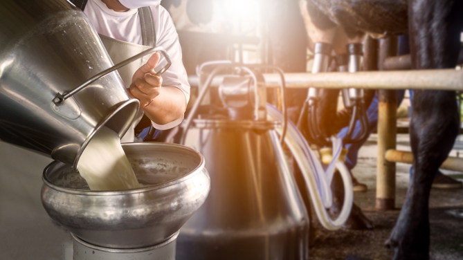 Costo di produzione del latte fuori controllo, Confai: «In ginocchio anche le aziende più efficienti»