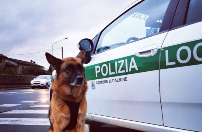 Ha guidato senza patente per 36 anni: seimila euro di multa