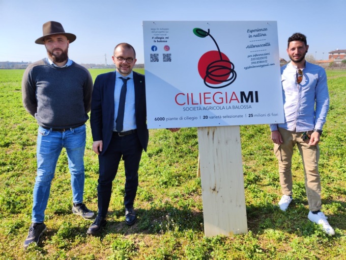 Raccolta della frutta self service: da Bergamo l’esperienza arriva alle porte di Milano