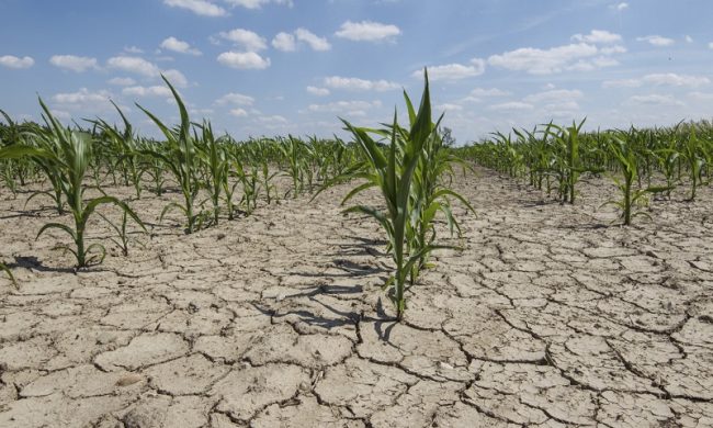 La terra ha sete: la Bergamasca fa i conti con la siccità