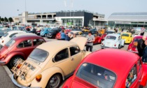 Torna la Bèrghem Bug, il raduno con ben 200 maggiolini Volkswagen d’epoca