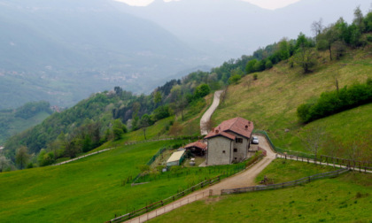 Sul sentiero partigiano Angelo Gotti, l'escursione perfetta in vista del 25 Aprile
