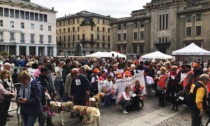 A Bergamo torna la Corridog, passeggiata per sostenere i cani guida dei ciechi