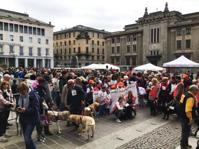 A Bergamo torna la Corridog, passeggiata per sostenere i cani guida dei ciechi