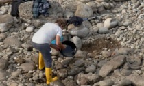 La morsa della siccità riporta i cercatori d'oro lungo le sponde in secca dell'Adda