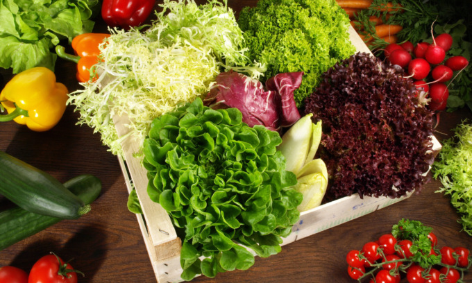 Facciamo l’orto in casa: questa settimana in regalo i semi dell’insalata