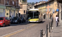 Riqualificazione di via Borgo Santa Caterina: i nuovi percorsi dei bus della Linea C